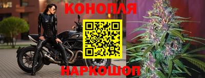 стафф Кимры